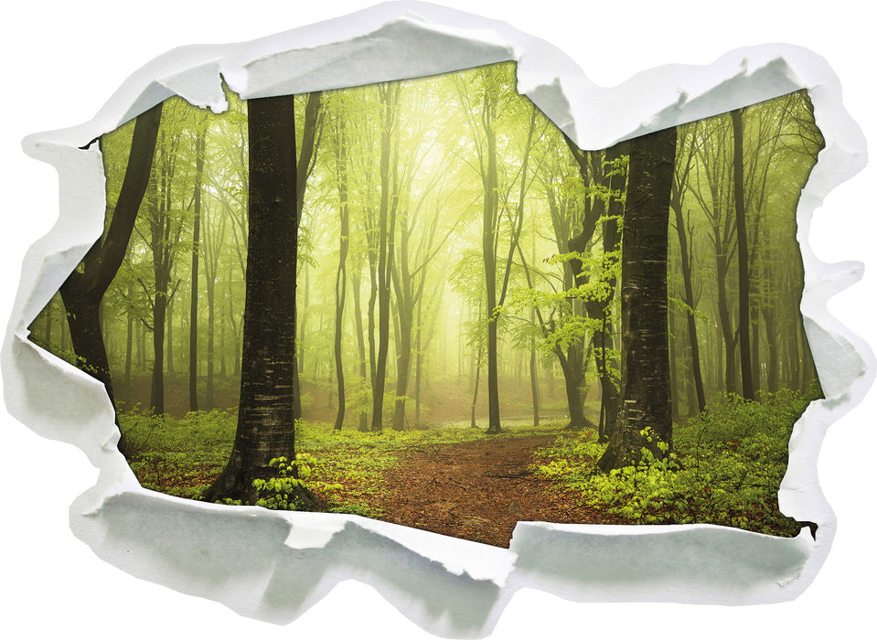 Pixxprint Weg in den Wald, 3D Wandtattoo