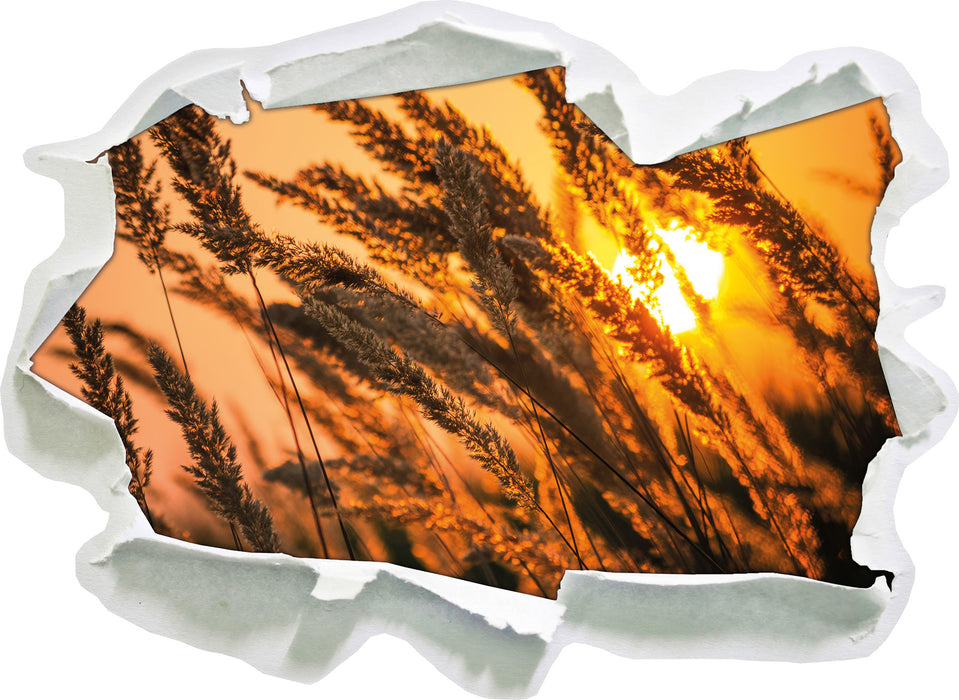 Pixxprint Schilf, 3D Wandtattoo