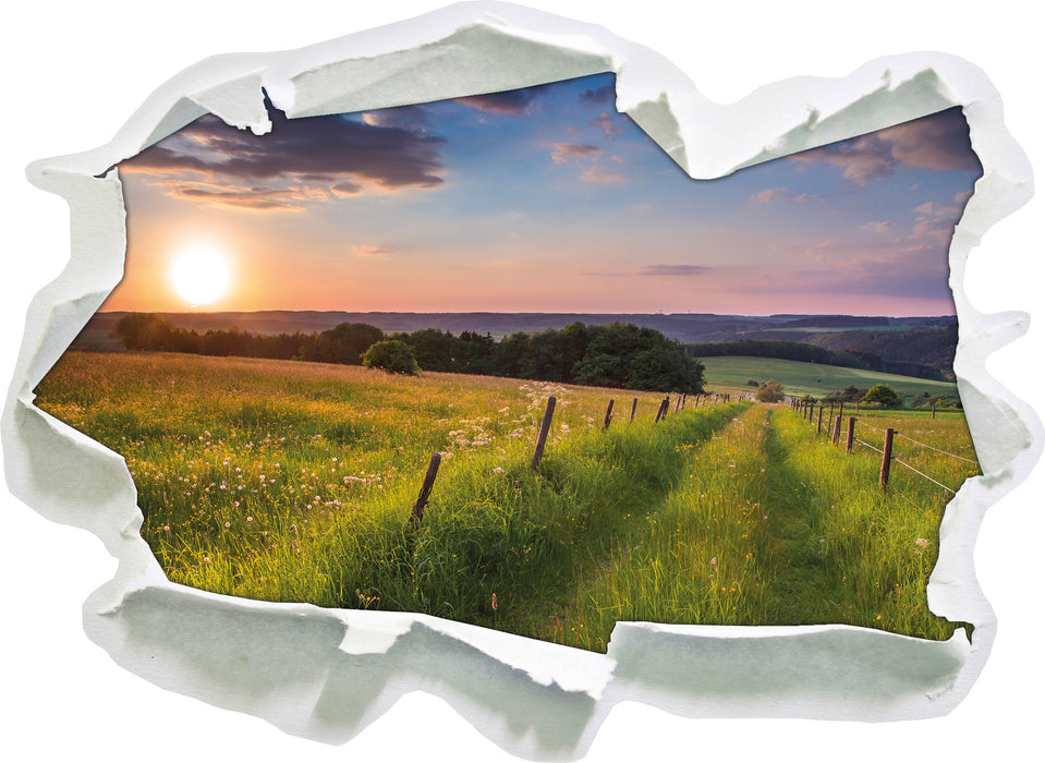 Pixxprint Bergwiese im Sonnenaufgang, 3D Wandtattoo