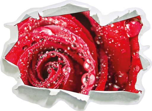 Rose mit Wassertropfen  3D Wandtattoo Papier