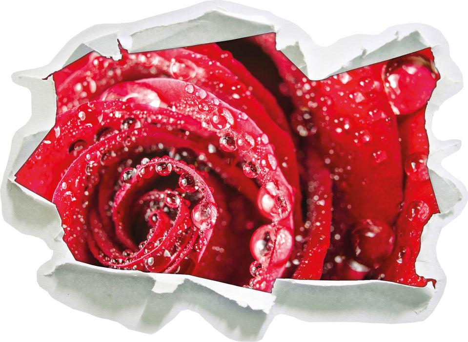 Pixxprint Rose mit Wassertropfen, 3D Wandtattoo