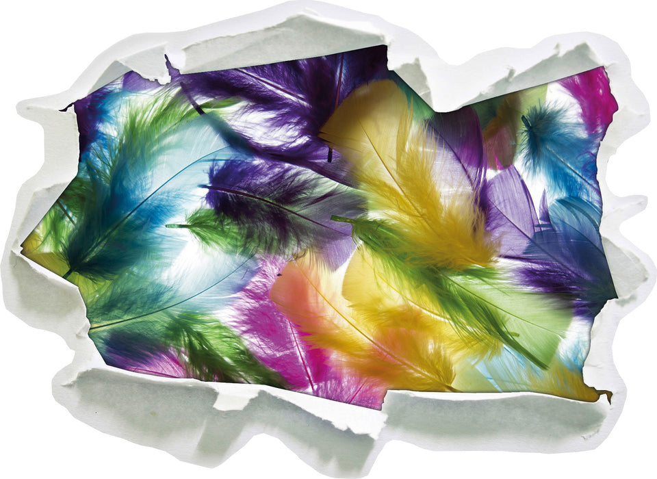 Pixxprint Anordnung von Federn, 3D Wandtattoo