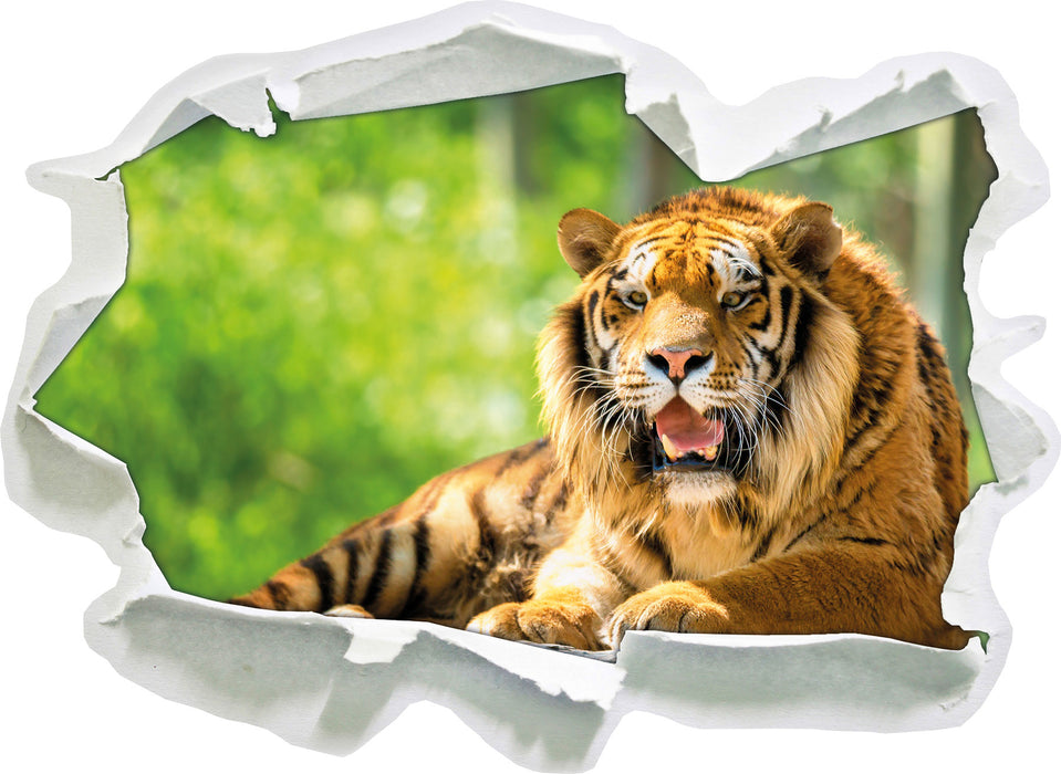 Tiger auf einem Stein  3D Wandtattoo Papier