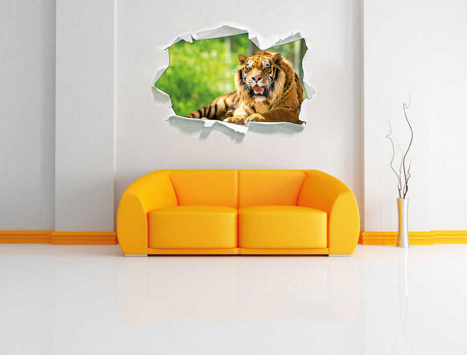 Tiger auf einem Stein 3D Wandtattoo Papier Wand