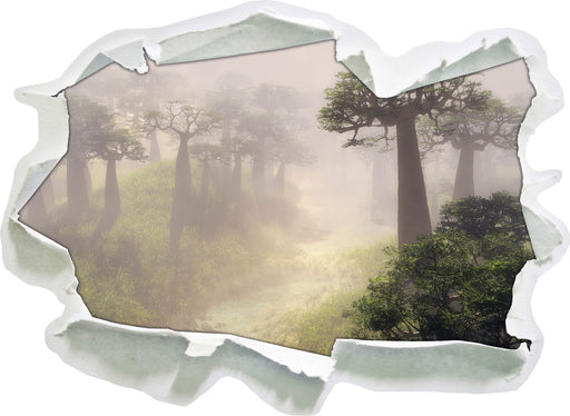 Mysteriöser Wald im Nebel  3D Wandtattoo Papier
