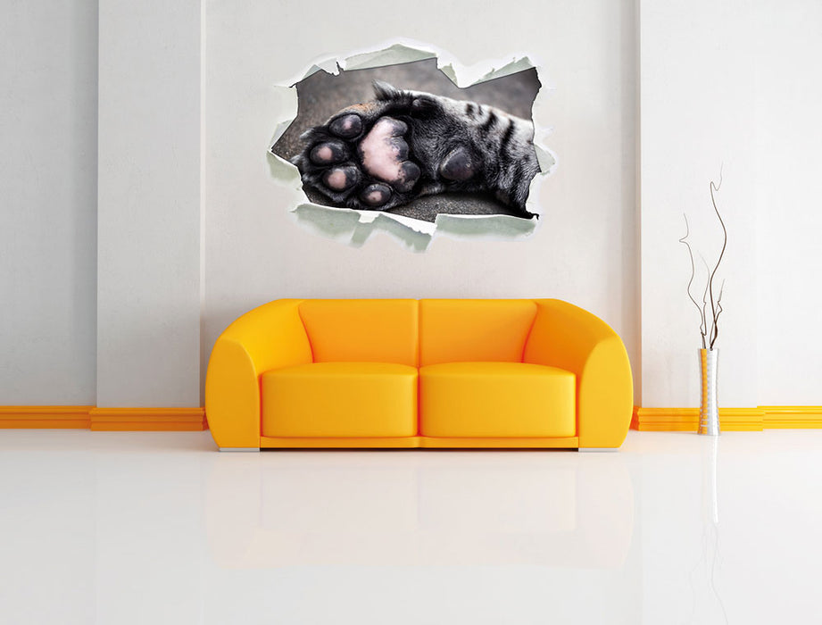 Schöne Katzenpfote 3D Wandtattoo Papier Wand