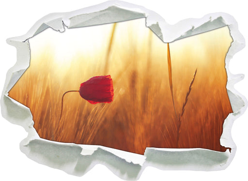 Einzelne rote Rose im Sonnenlicht  3D Wandtattoo Papier