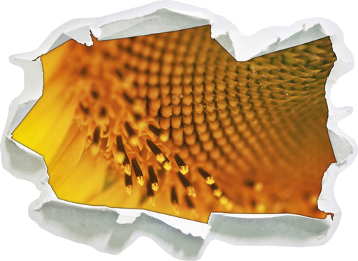 Wunderschöne gelbe Sonnenblume  3D Wandtattoo Papier