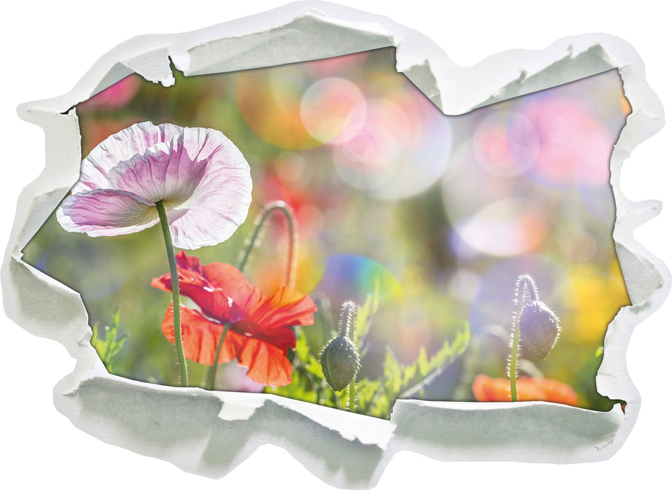 Kalifornischer Mohn Frühling 3D Wandtattoo Papier