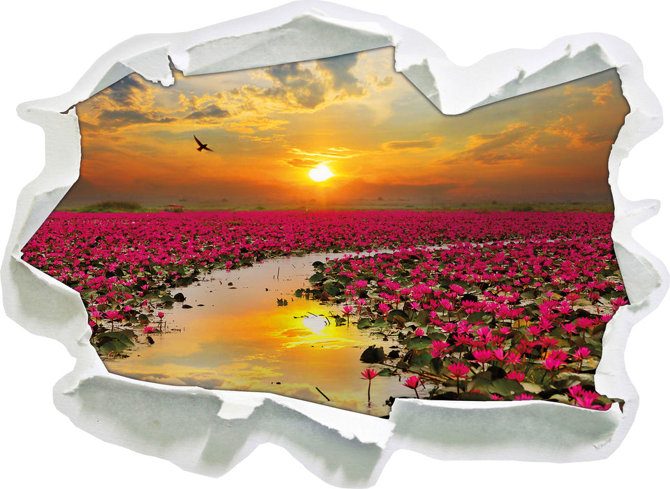 Lotusblüten am See  3D Wandtattoo Papier