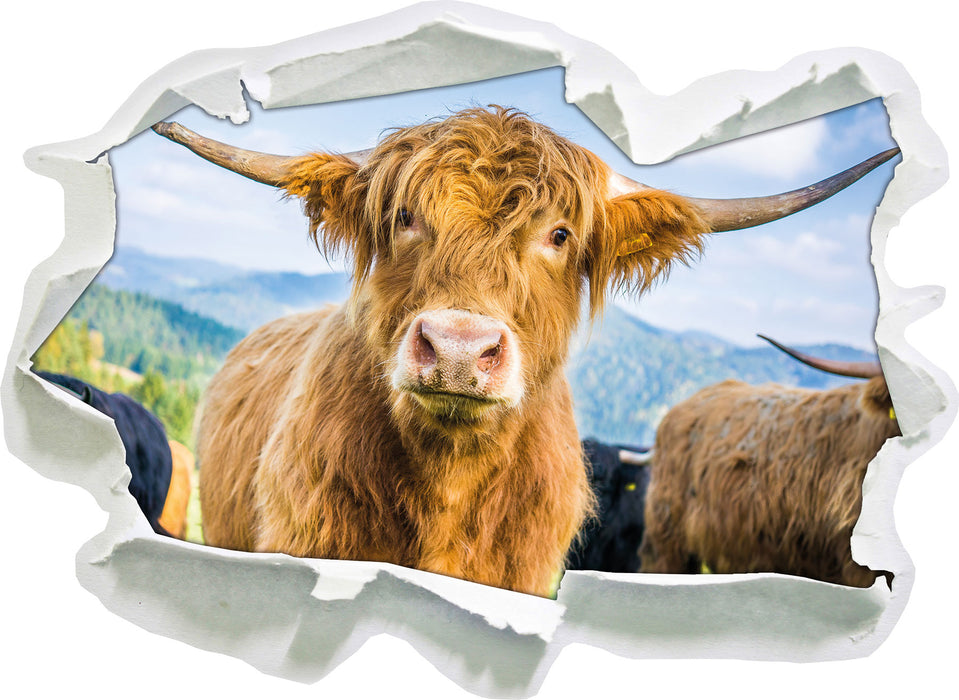 Blick einer Kuh an der Weide 3D Wandtattoo Papier