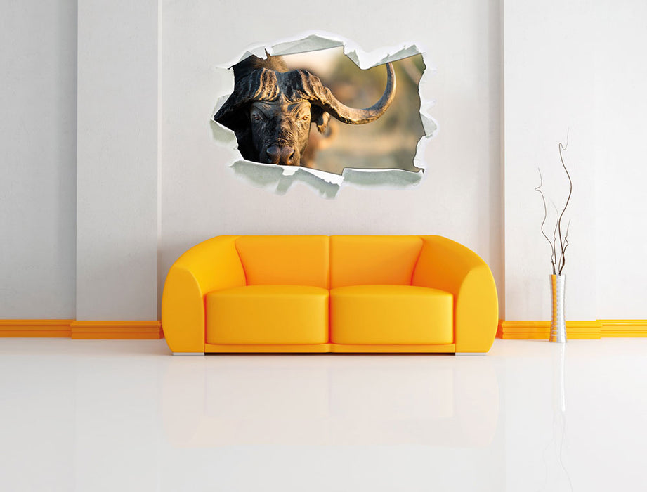 Kaffernbüffel mit Hörnern 3D Wandtattoo Papier Wand