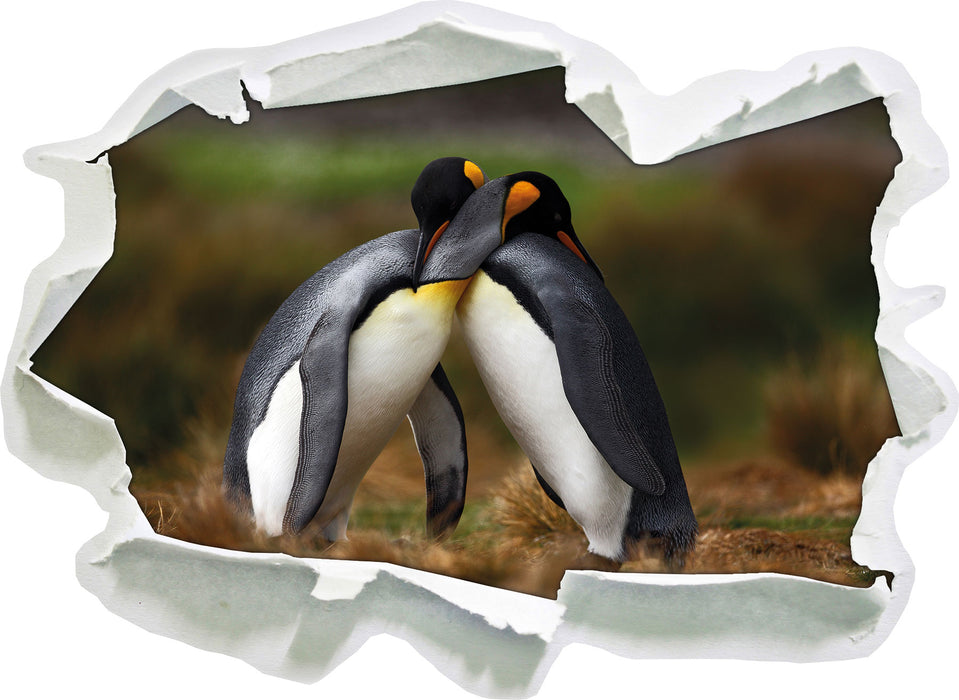 Pinguine in der Antarktis  3D Wandtattoo Papier
