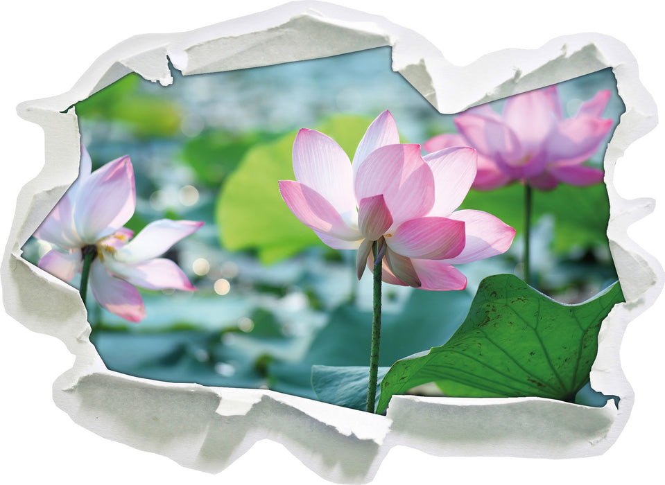 rosa Lotusblüte im Teich  3D Wandtattoo Papier