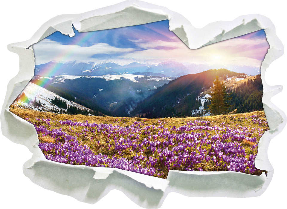 Berge mit Regenbogen  3D Wandtattoo Papier