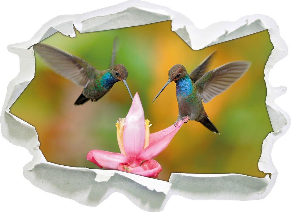 Zwei Kolibris in den Tropen  3D Wandtattoo Papier