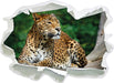 Wunderschöner Leopard in der Natur  3D Wandtattoo Papier