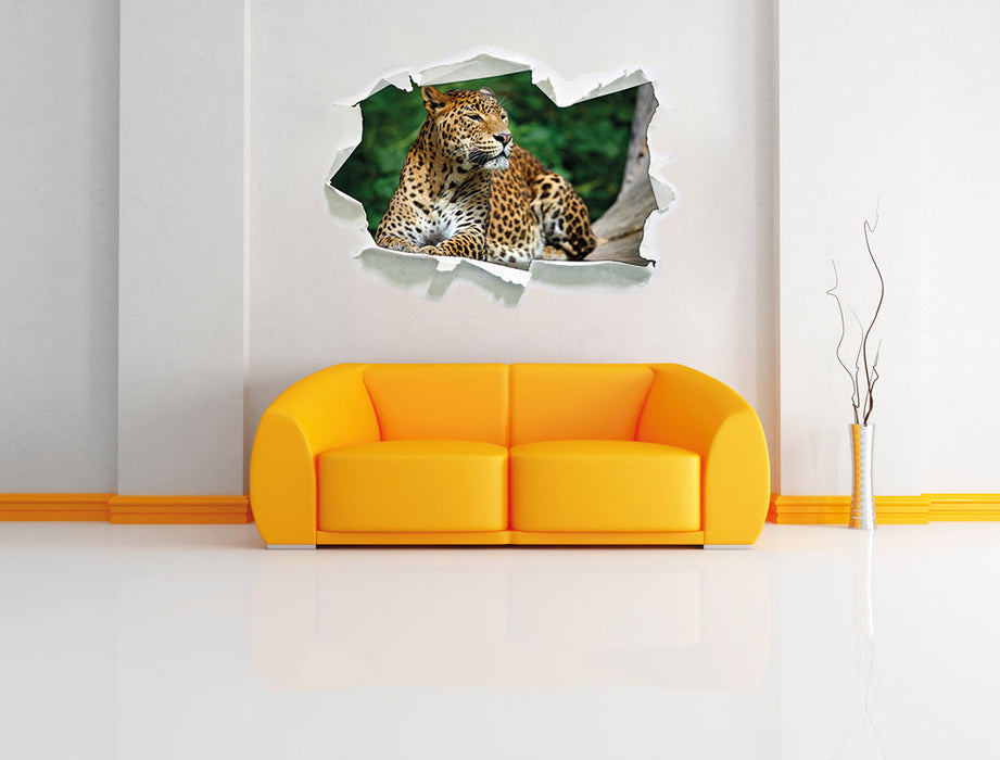 Wunderschöner Leopard in der Natur 3D Wandtattoo Papier Wand