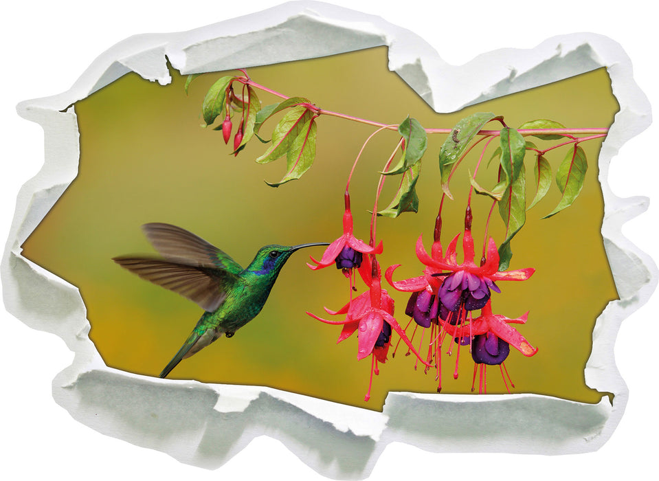 Kolibri trinkt vom Blütennektar  3D Wandtattoo Papier
