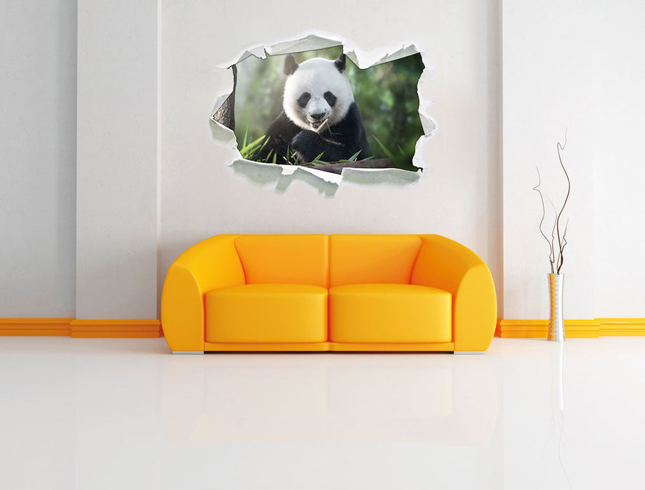 Niedlicher Panda isst Bambus 3D Wandtattoo Papier Wand