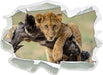 Junger Löwe in der Natur  3D Wandtattoo Papier