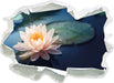Eine rosa Lotusblume in Teich  3D Wandtattoo Papier