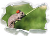 Süßer Gecko mit einem Marienkäfer  3D Wandtattoo Papier