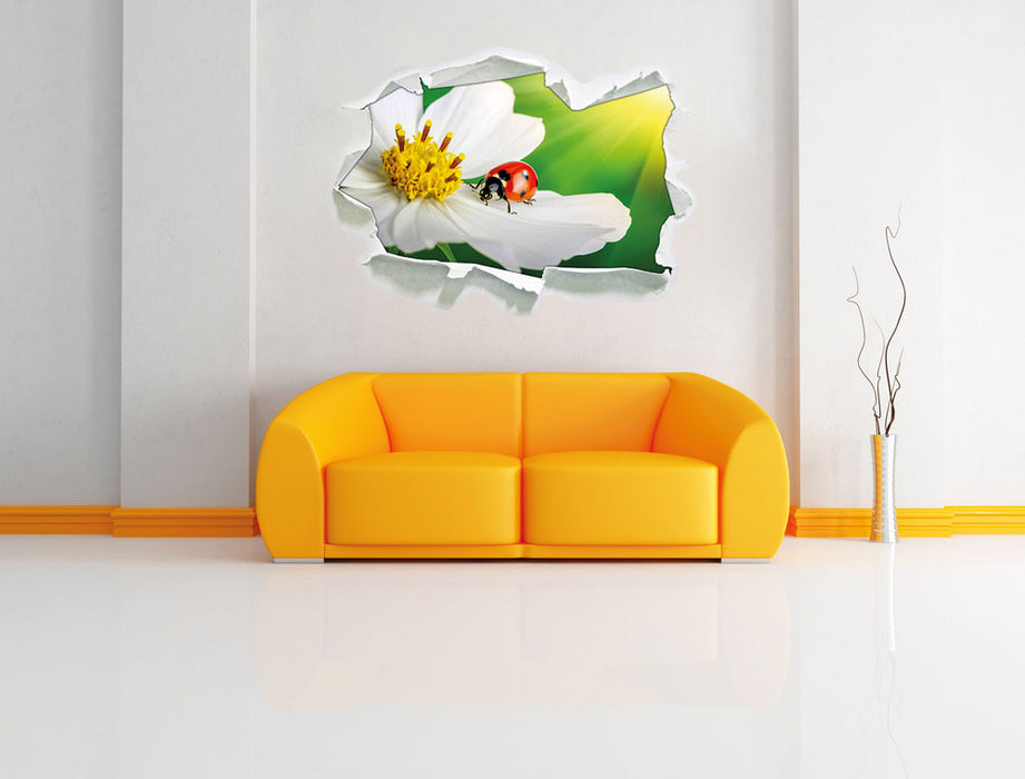 Marienkäfer auf einer weißen Blume 3D Wandtattoo Papier Wand