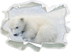 Eisbär im Schnee  3D Wandtattoo Papier
