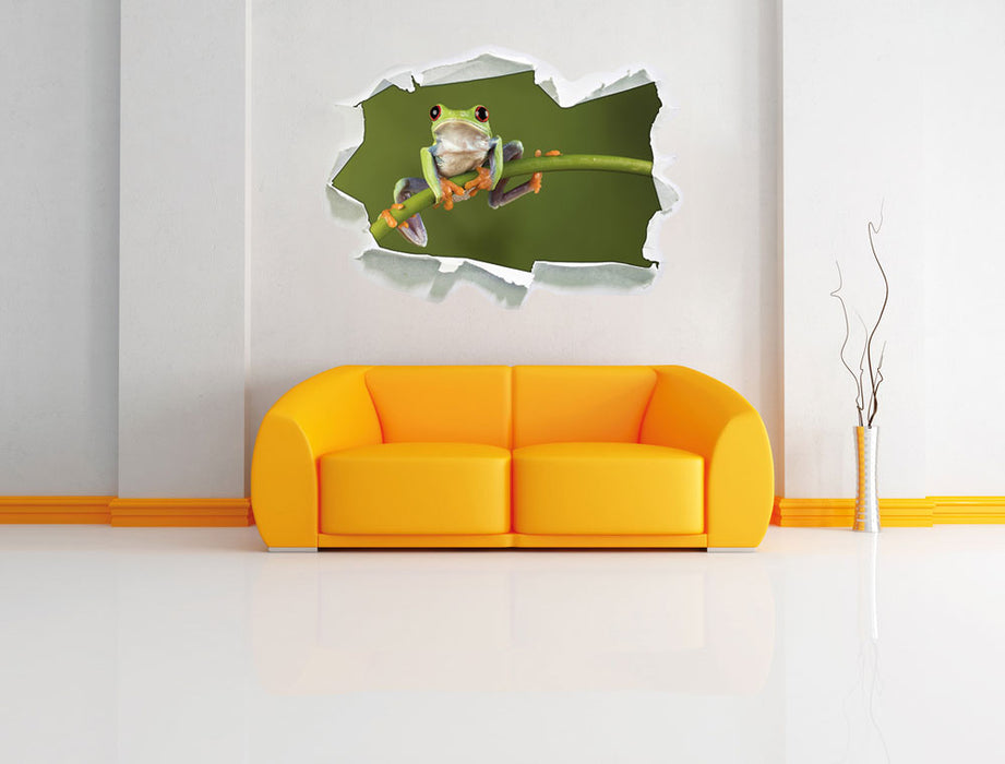 Baum-Frosch auf Bambus 3D Wandtattoo Papier Wand