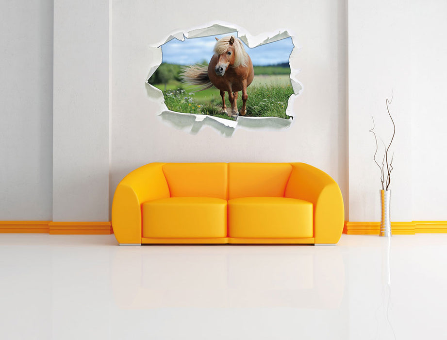 Shetlandpony auf der Wiese 3D Wandtattoo Papier Wand