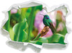 Kolibri in seinem Lebensraum  3D Wandtattoo Papier