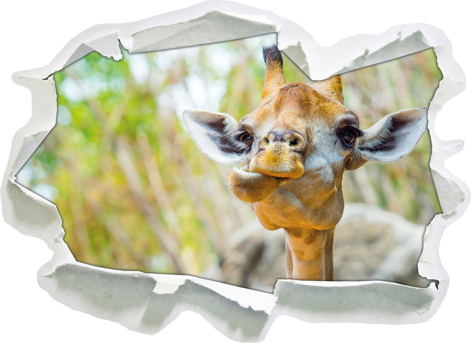 Giraffe in der Natur  3D Wandtattoo Papier