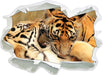Zwei junge Tiger beim Kämpfen  3D Wandtattoo Papier