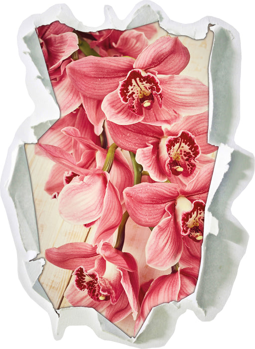 Rosane Orchideenblüten  3D Wandtattoo Papier