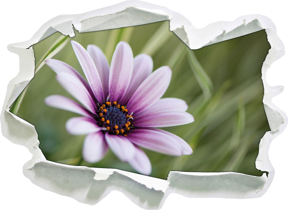 Blume in der Natur  3D Wandtattoo Papier