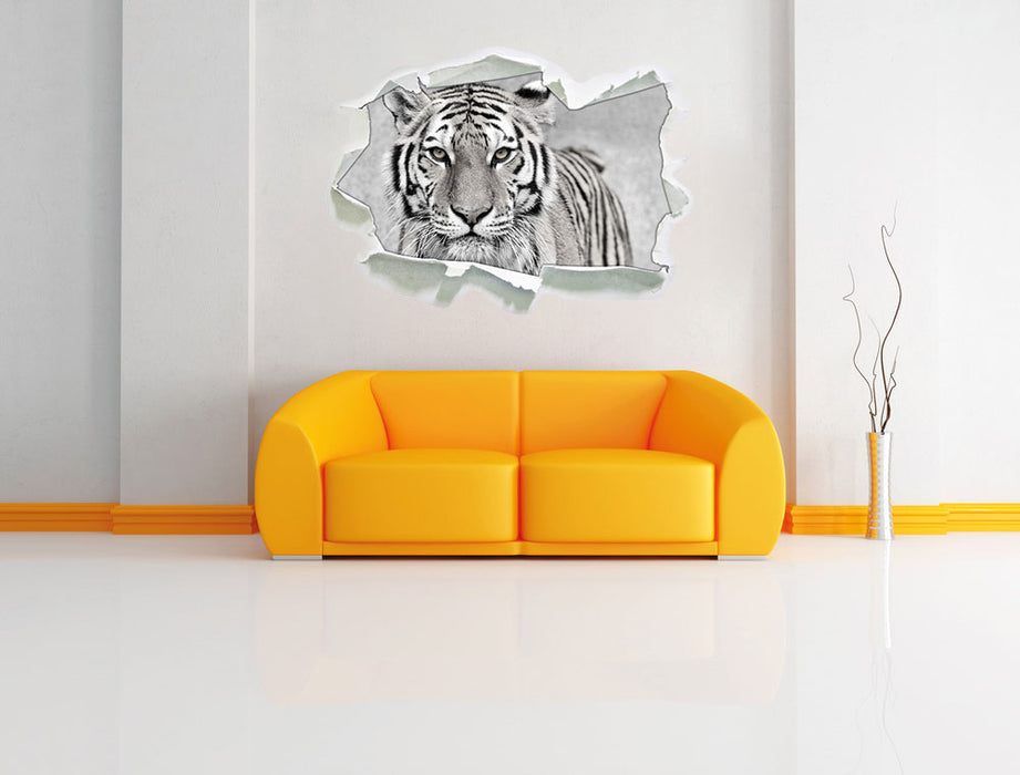Anmutiger Tiger in 3D Wandtattoo Papier Wand