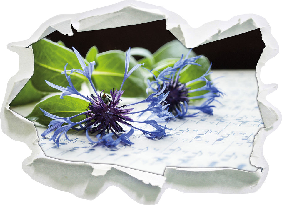 Notenblatt mit Kornblume  3D Wandtattoo Papier