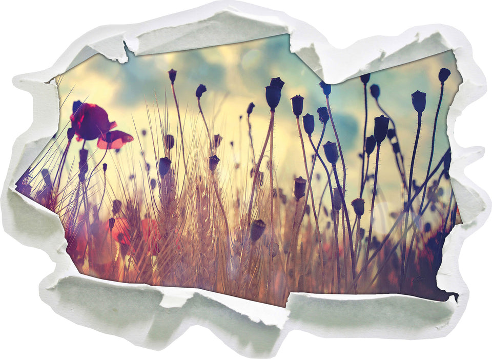 Mohn im Weizenfeld  3D Wandtattoo Papier