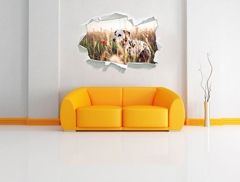 Neugieriger Hund im Feld 3D Wandtattoo Papier Wand