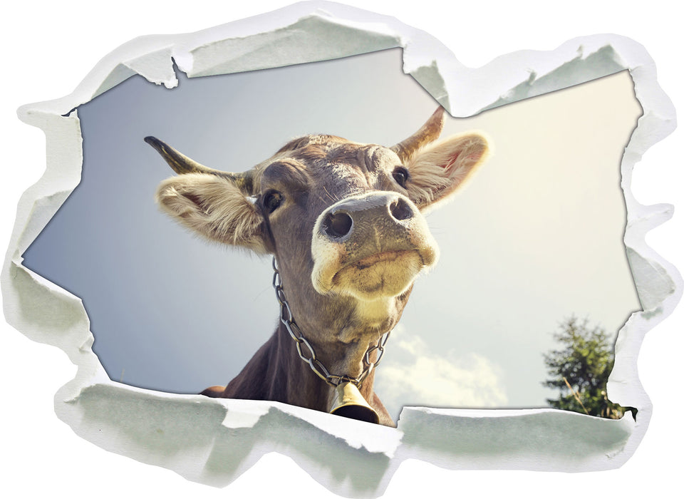 Lustiges Portrait einer Kuh 3D Wandtattoo Papier