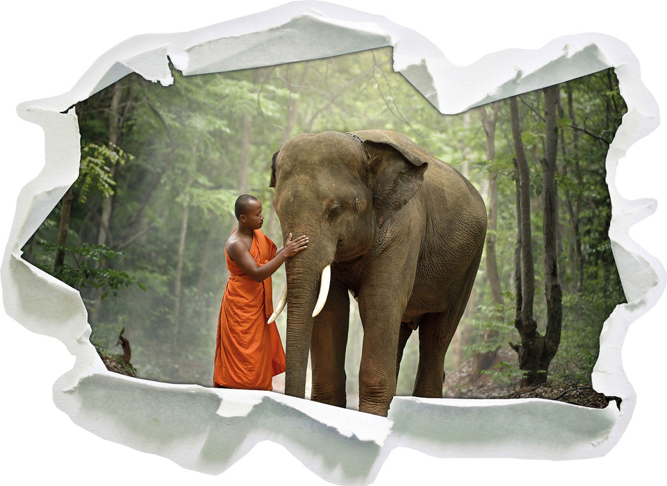 wunderschöner Elefant mit Mönch  3D Wandtattoo Papier