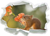 Eichhörnchen riecht an einer Blume 3D Wandtattoo Papier