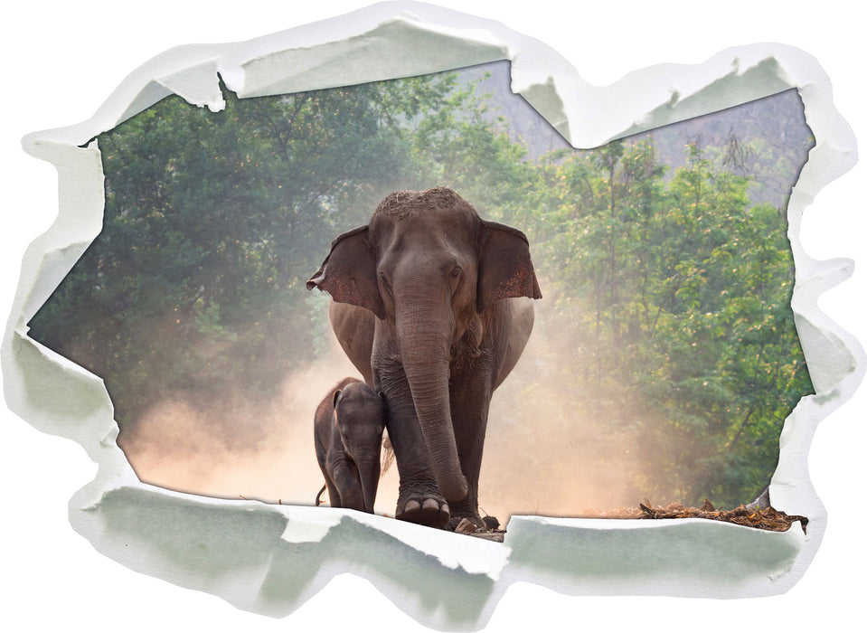 Elefantenbaby mit Mutter 3D Wandtattoo Papier