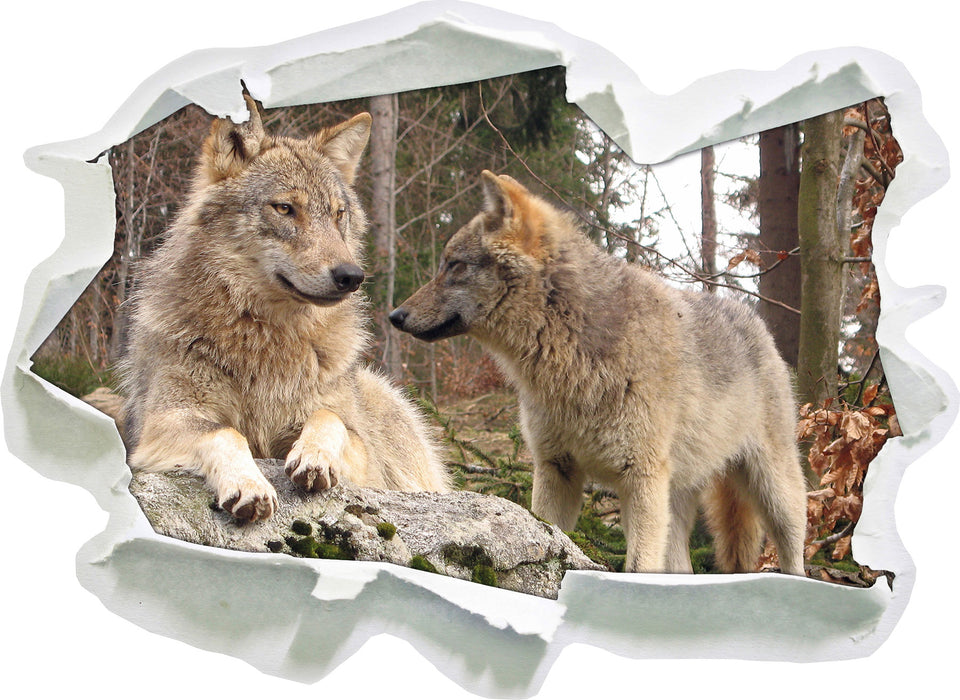 Wölfe im Wald 3D Wandtattoo Papier