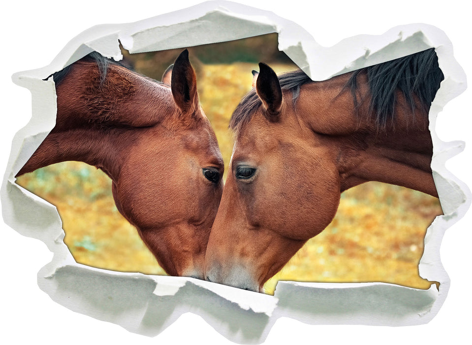 zwei schmusende Pferde  3D Wandtattoo Papier
