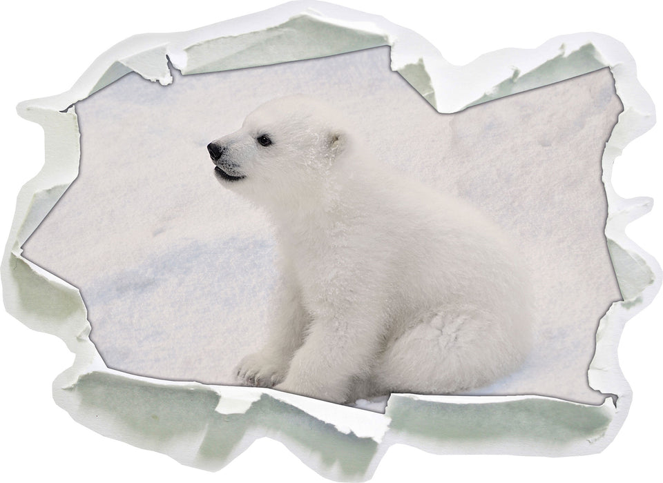 niedliches Eisbär Baby  3D Wandtattoo Papier