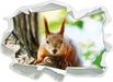 Eichhörnchen auf dem Baum  3D Wandtattoo Papier