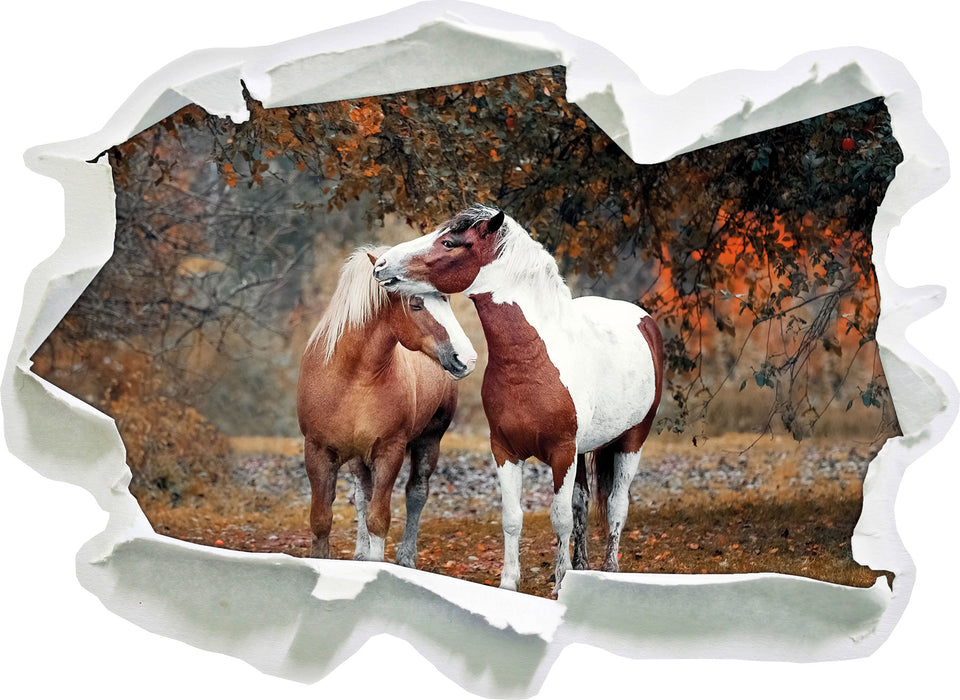 zwei schmusende Pferde 3D Wandtattoo Papier