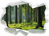 sonniger Tag im Wald 3D Wandtattoo Papier